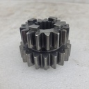 420434411-001