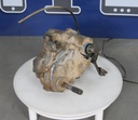 3235282-0011.jpg