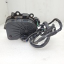 gear motor