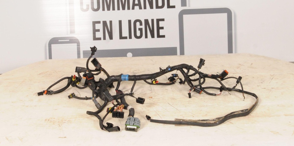 Main Harness Ass'y 800R ETEC,