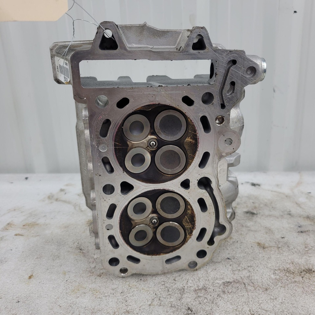 [420623807-001] cylinder head ass'y (420623807-001)