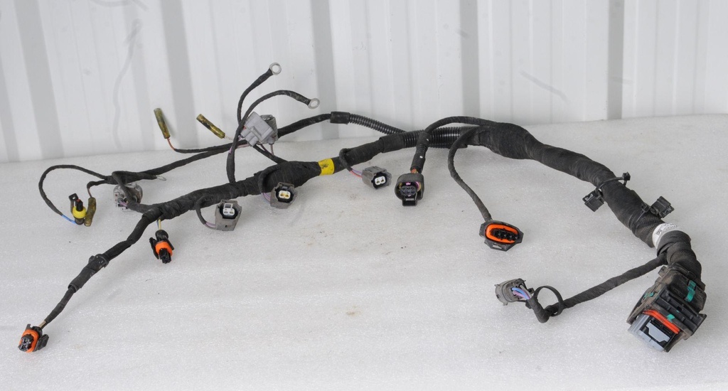 [420864355-001] engine harness (420864355-001)