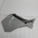 panel-side,lh,tpo,ghost gray