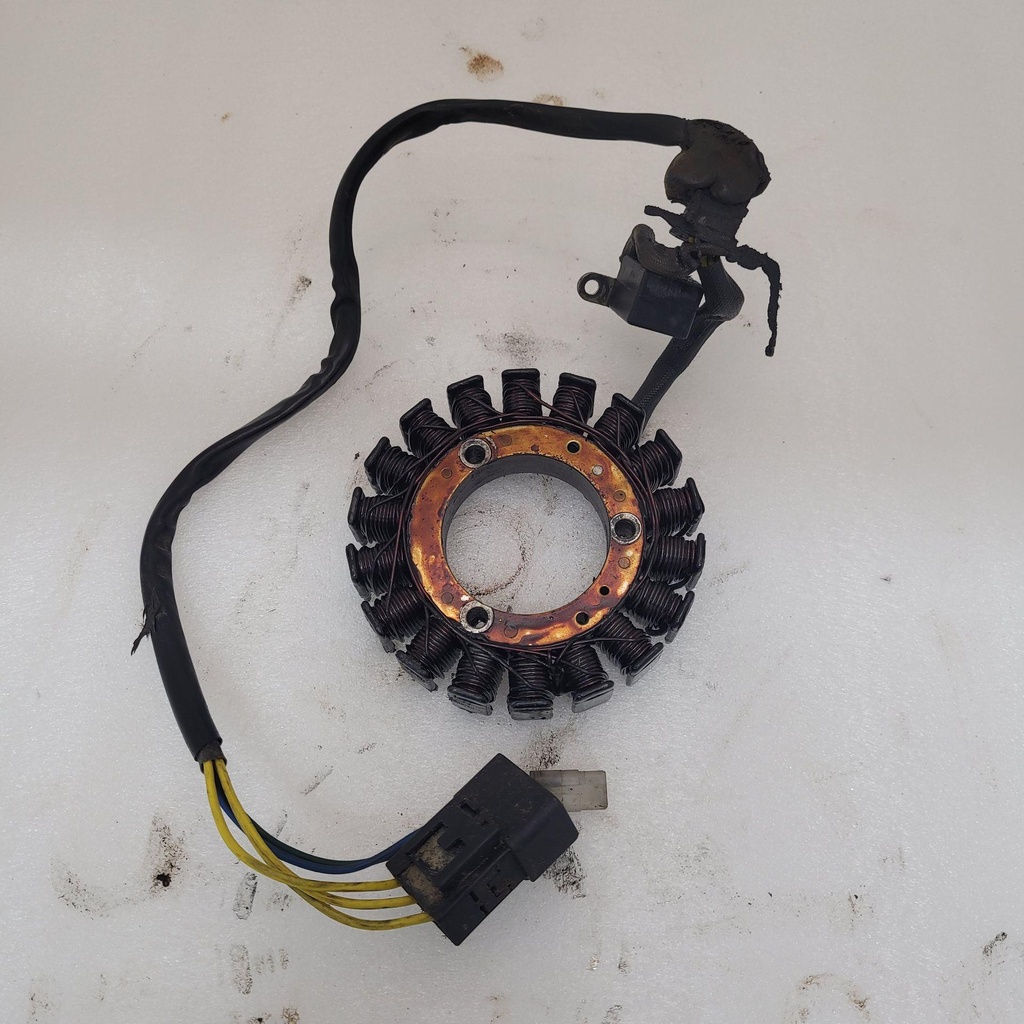 MAGNETO STATOR