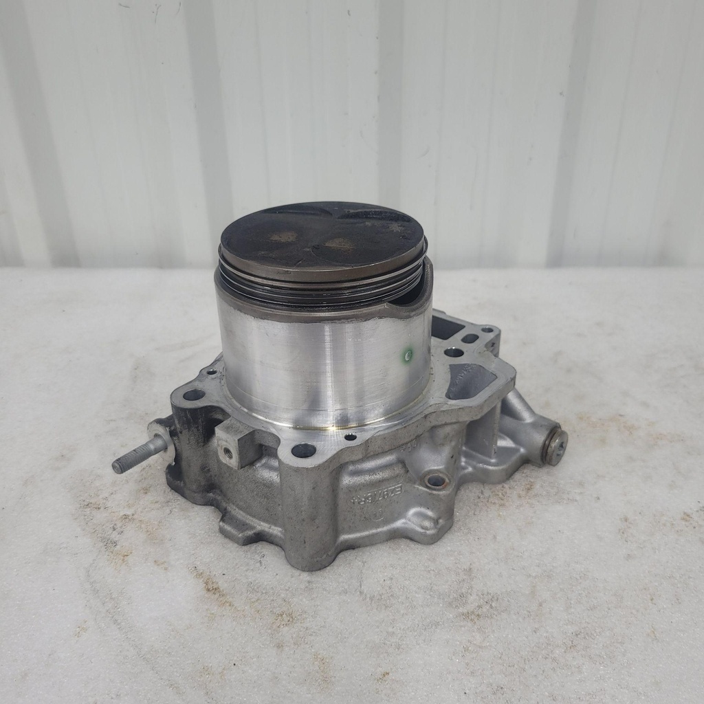 [420623912-001] cylinder & pistons ass'y (420623912-001)