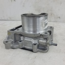 (new ref. 420623912) cylinder and pistons ass'y