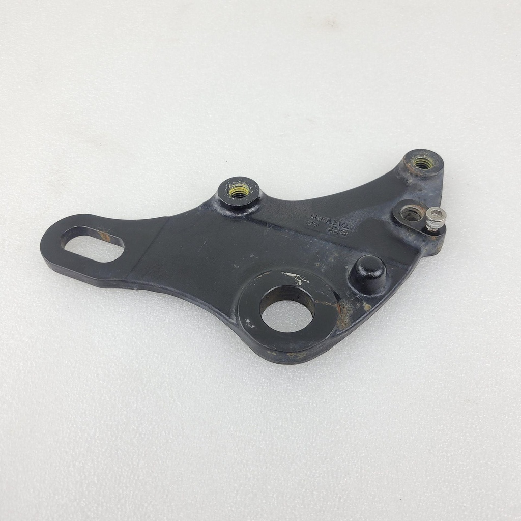 rear brake caliper support