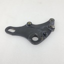 rear brake caliper support