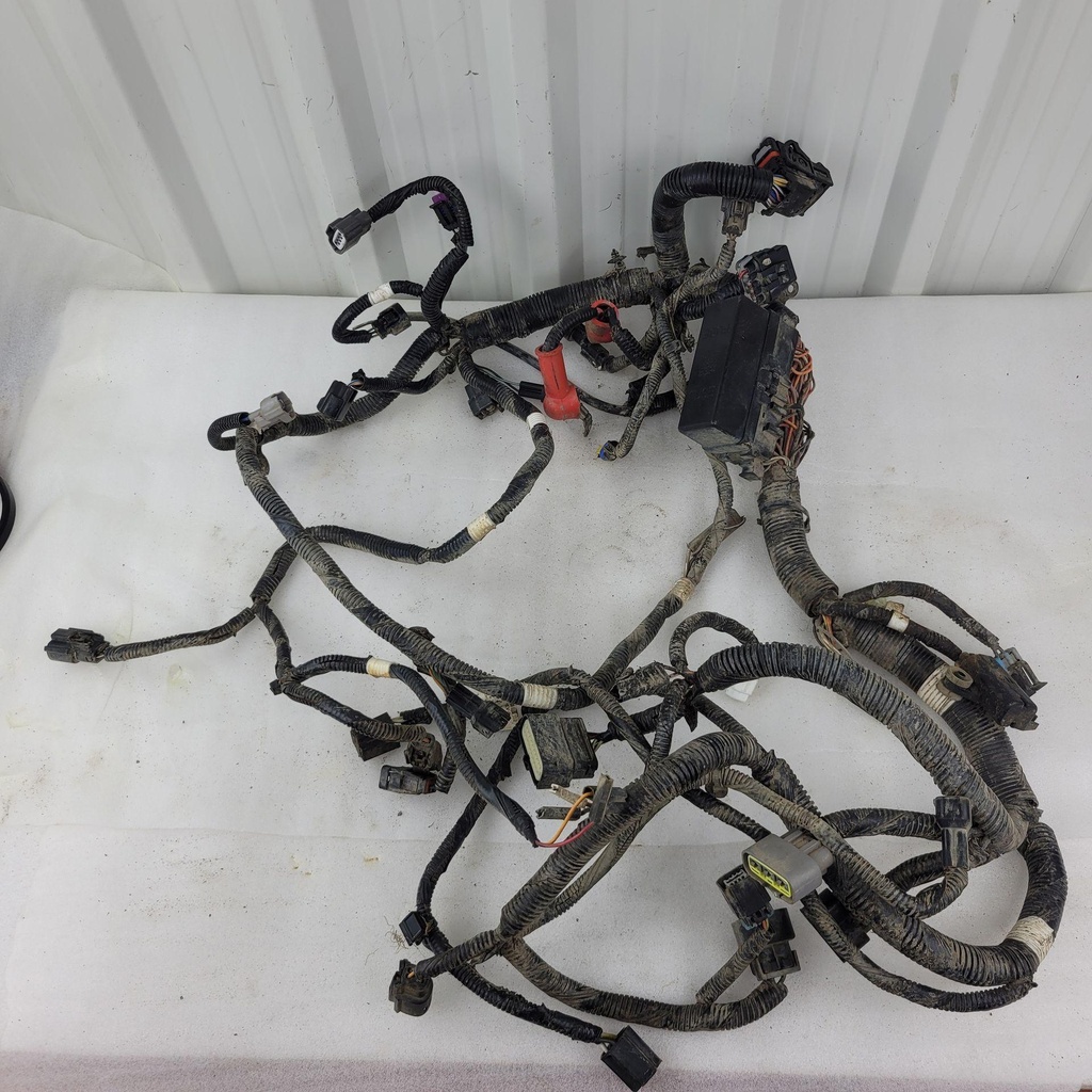 harness, main