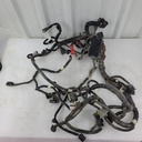 harness, main