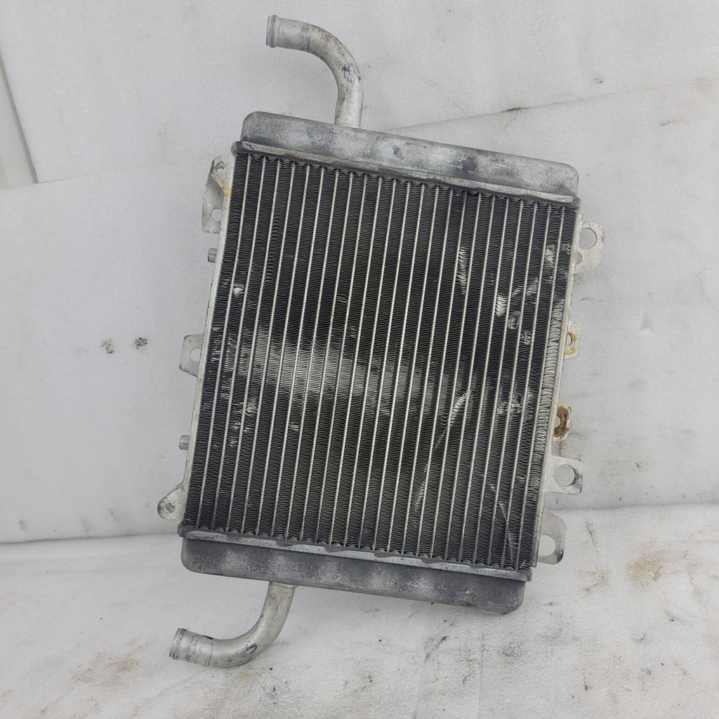 [0613-013-001] radiator - assy (2009 bc)