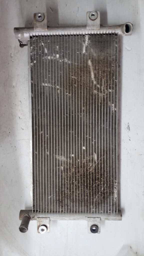 RADIATOR FLAT MOUNT ASSEMBLY