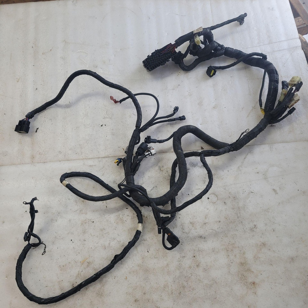 Harness, Main