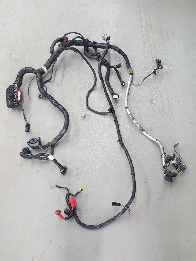 harness, main (inc. 11-19)