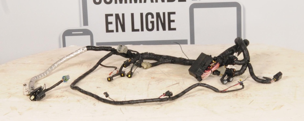 Harness, Main (inc. 8-16)