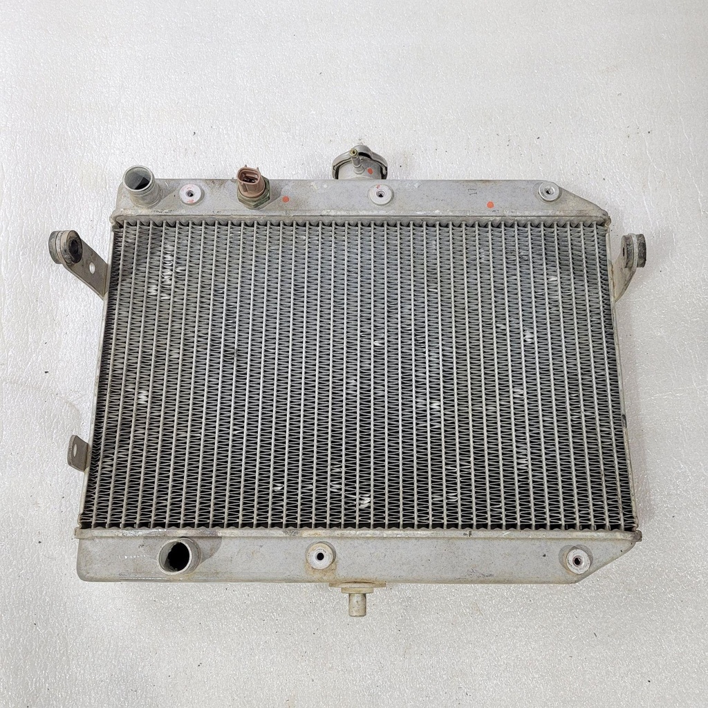 radiator assy