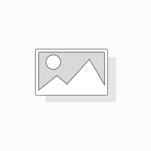 SUMMIT 2 SNOW BK ELEC