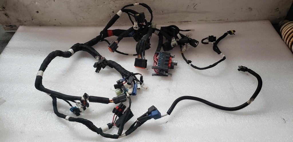 MAIN HARNESS, 800 WT, PBR