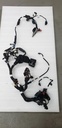 HARNESS-MAIN CH STD - POLARIS - 2414416 polaris