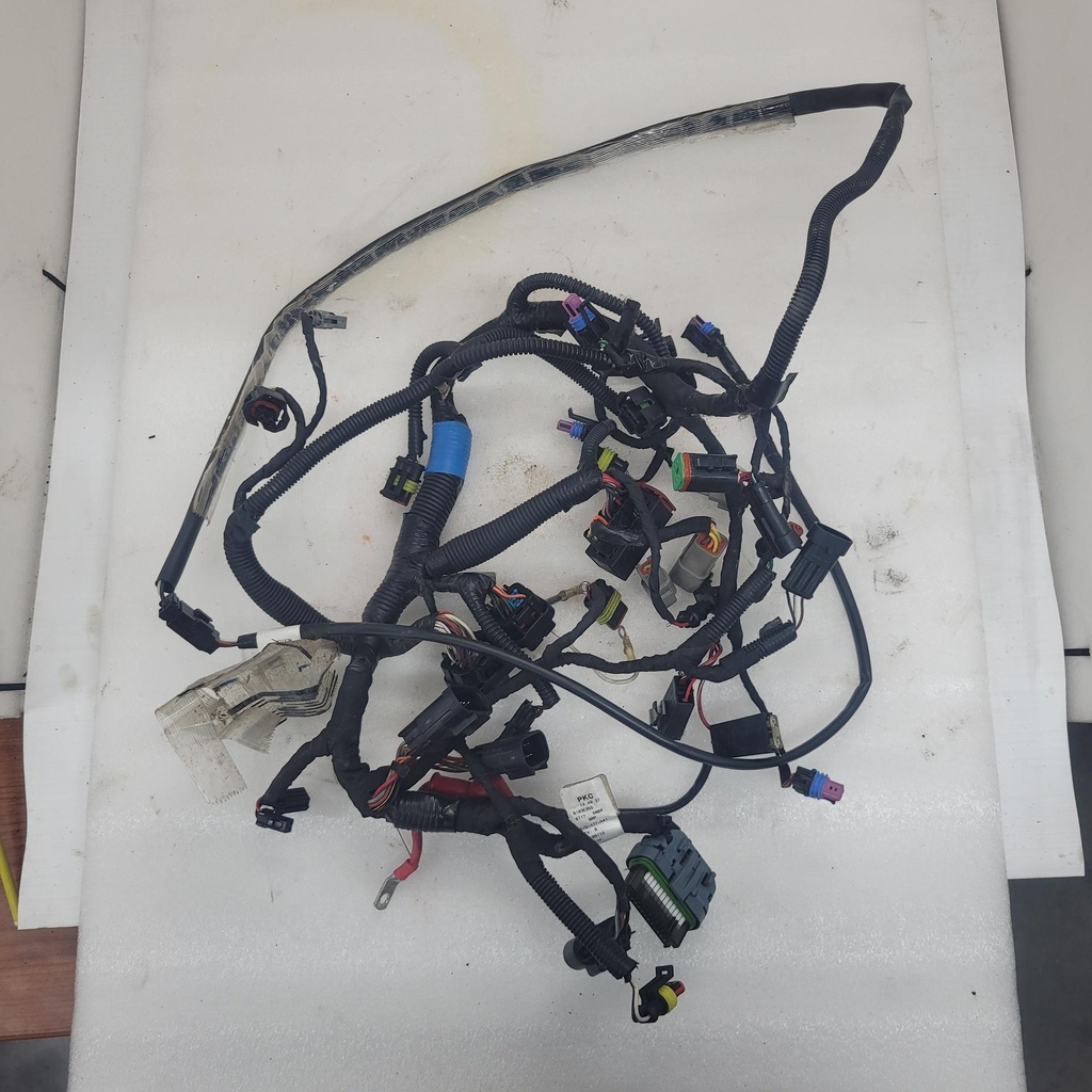 Main Harness 600HO ETEC