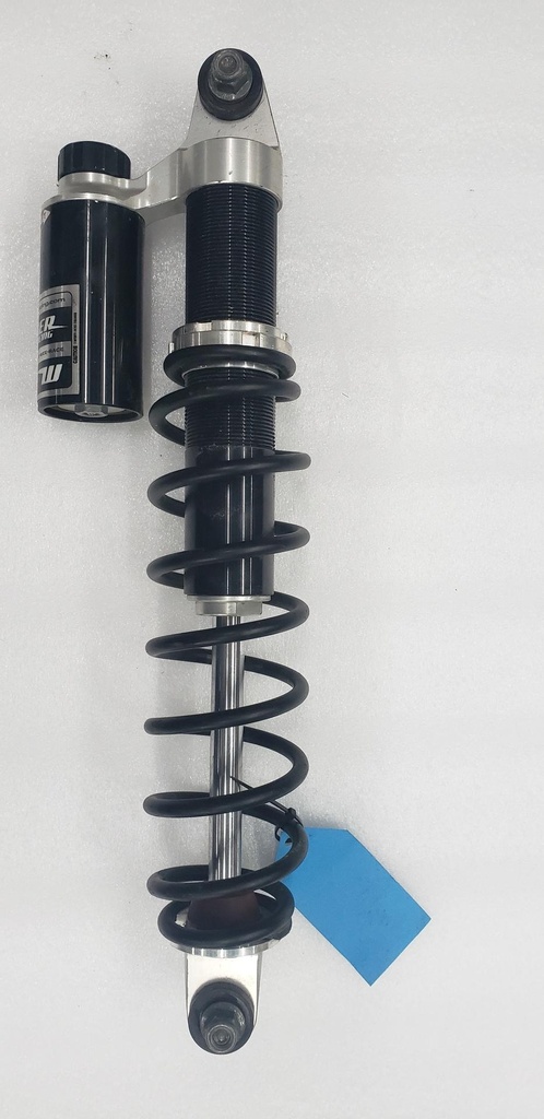 ifs piggyback shock