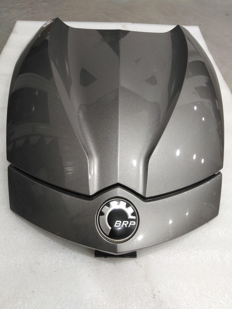 [705009062-001] Hood, Metallic Magnesium RS