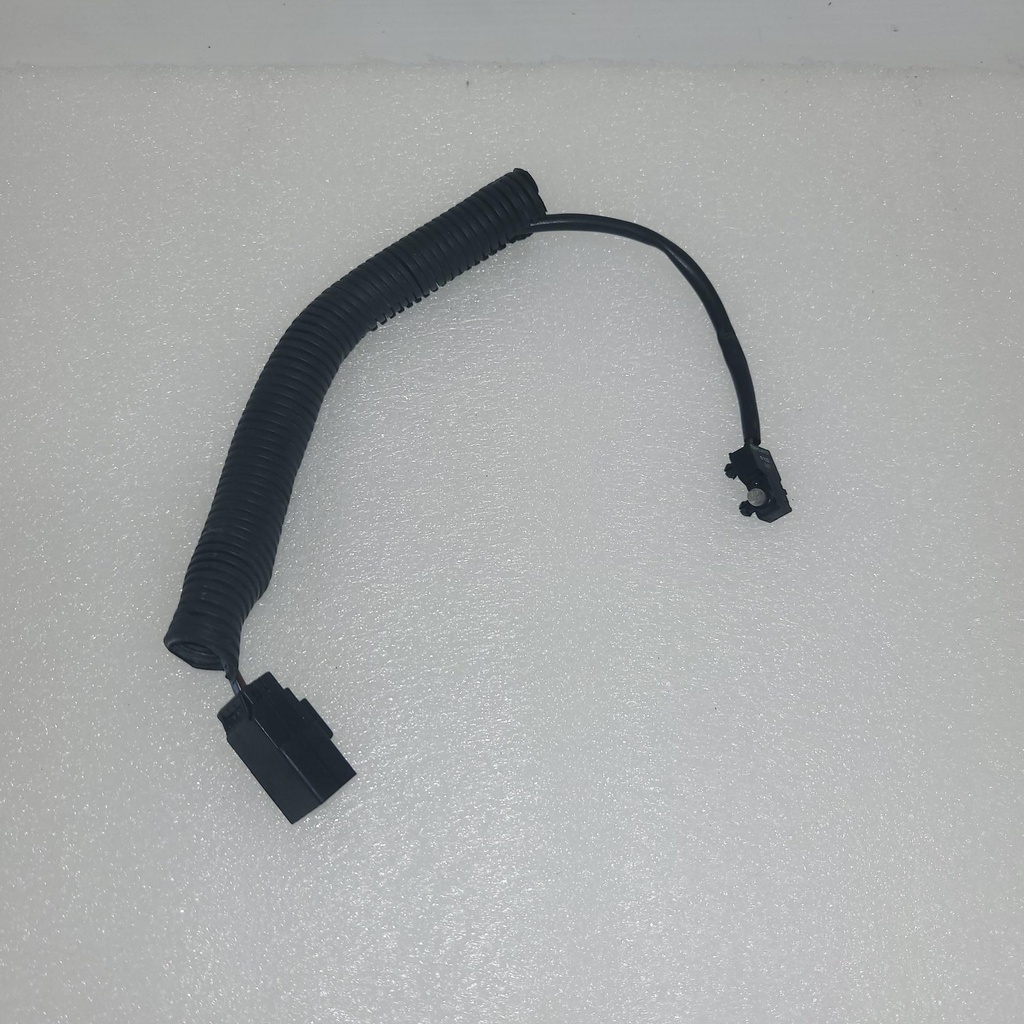 microswitch